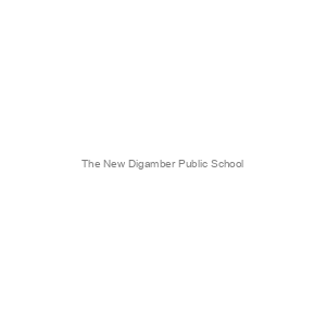 The New Digamber Public School